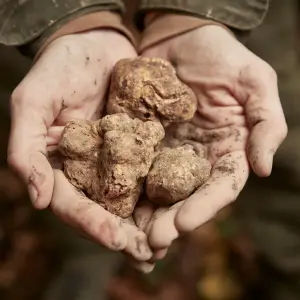 7 of Europe’s Most Delectable Fall Harvest Festivals
